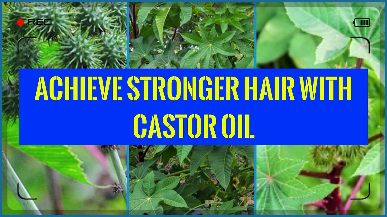 What are the Different Ways to Apply Castor Oil to Hair