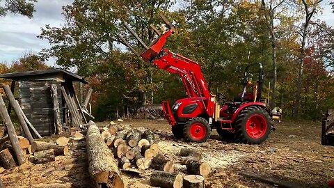 Cutting up big maple