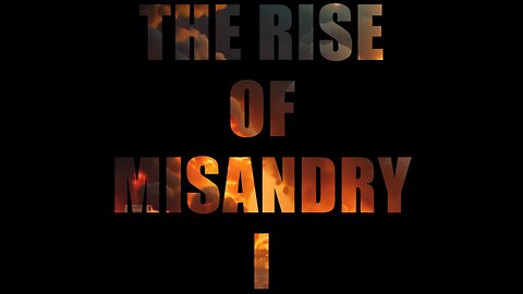 The Rise of Misandry: Chapter 1