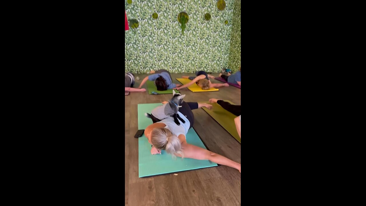 Yoga with animal