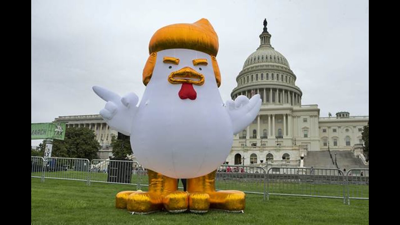 11 Districts of England, Inflatable trump Chicken and Trajan - TDH