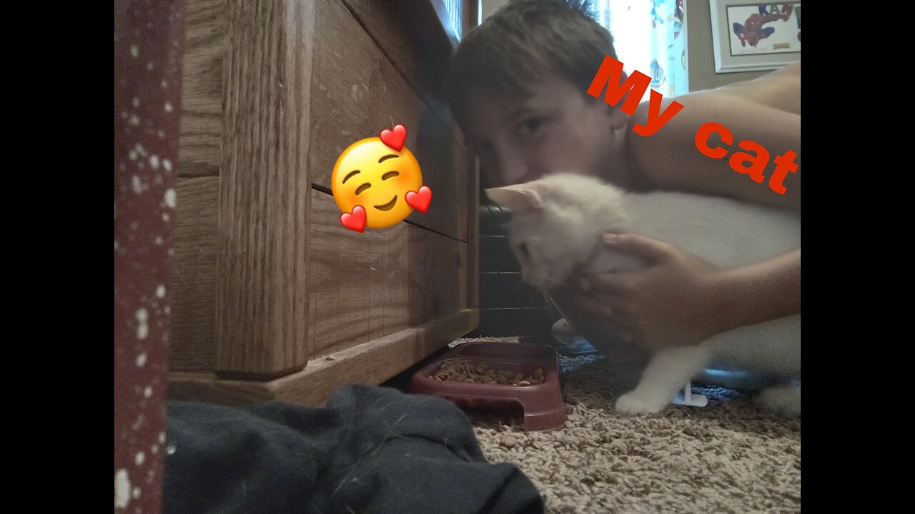 This is my cat