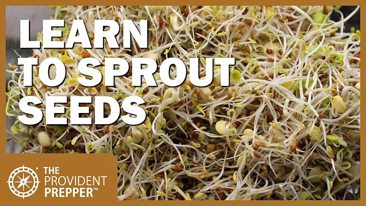 Prepper Pantry: Learn How to Sprout Seeds for Increased Nutrition