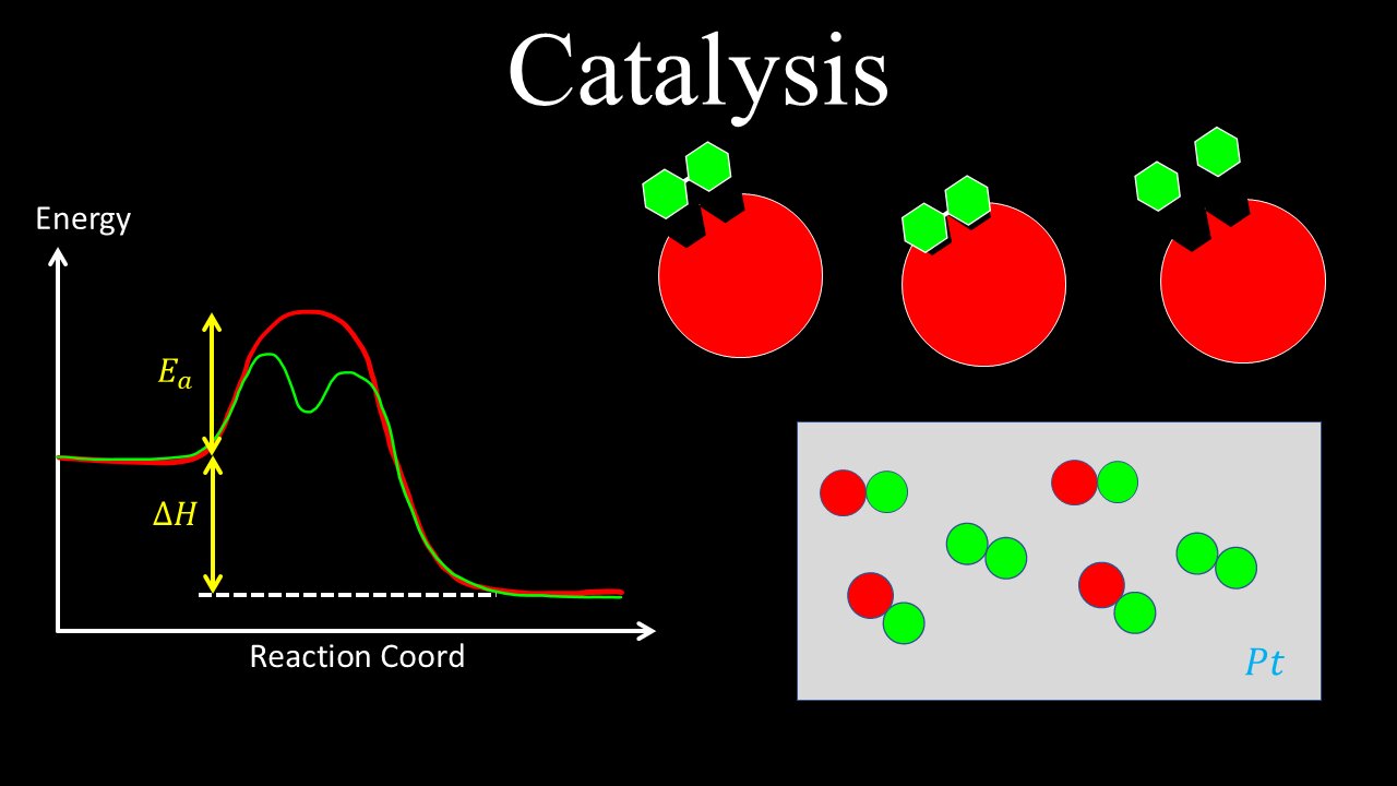 Catalysts, Enzyme Catalysis, Acid-Base Catalysis, Surface - Chemistry