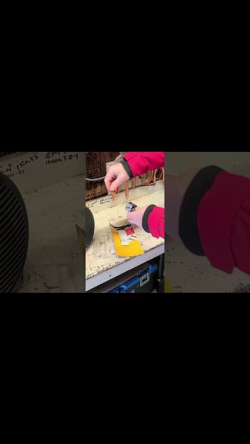 Titan brake line tool. Look no further #shorts #short #titan