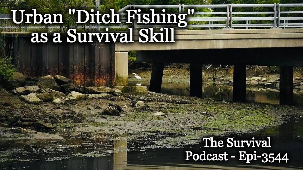 Urban "Ditch Fishing as a Survival Skill" - Epi-3544