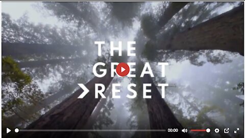 THE 2020 GREAT AWAKENING EXPLAINED | PRESIDENT TRUMP'S WAR AGAINST "THE GREAT RESET"