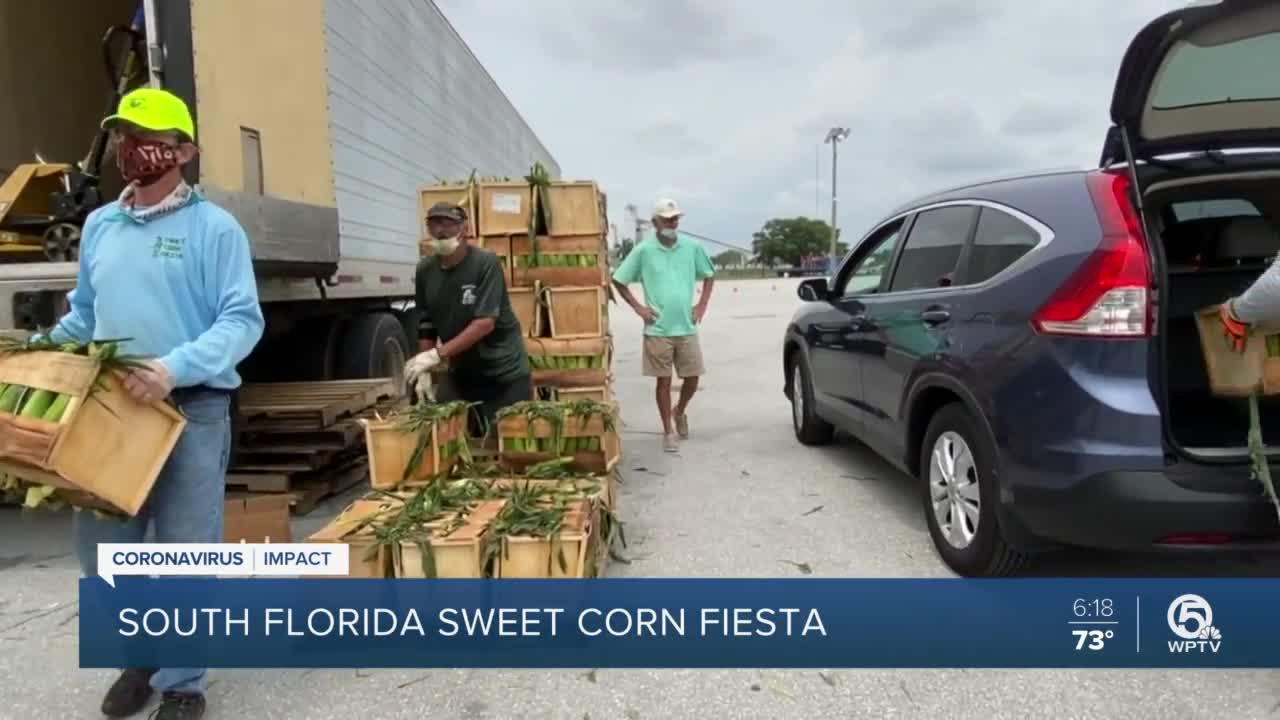 South Florida Sweet Corn Fiesta turns into drive-through event