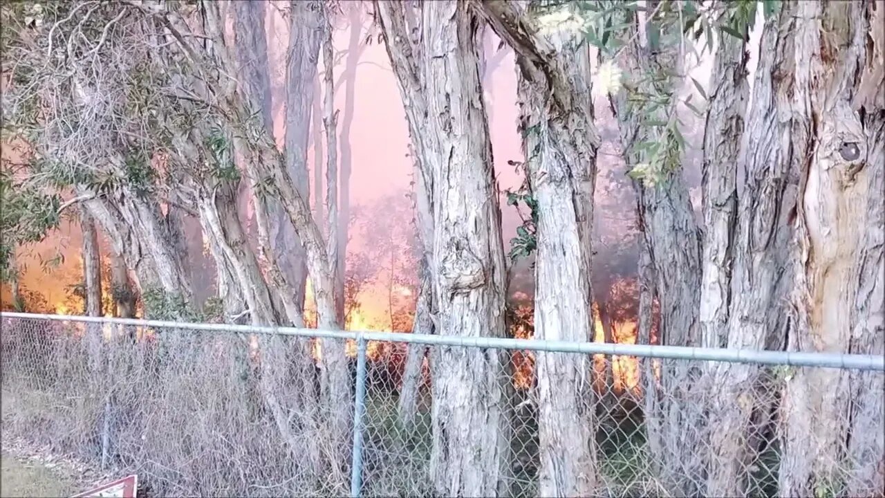 Gold Coast park in fire- Burleigh Water, Australia