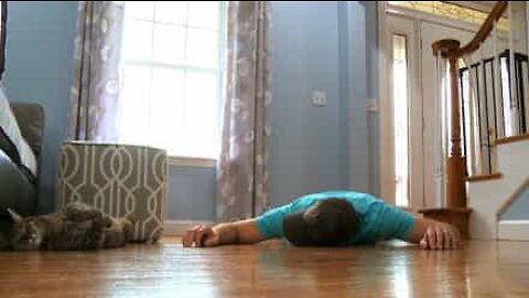 死んだふりをする飼い主を無視する猫