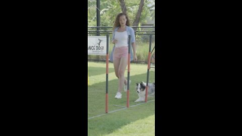 Women teaching a dog #Shorts# video.