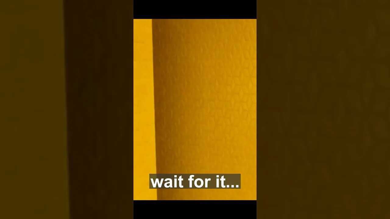 Stupid Backrooms Animation That I made A While Ago LOL