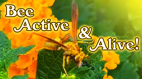 Bee Active & Alive, Flower your Mind & Bloom with Your Truth!