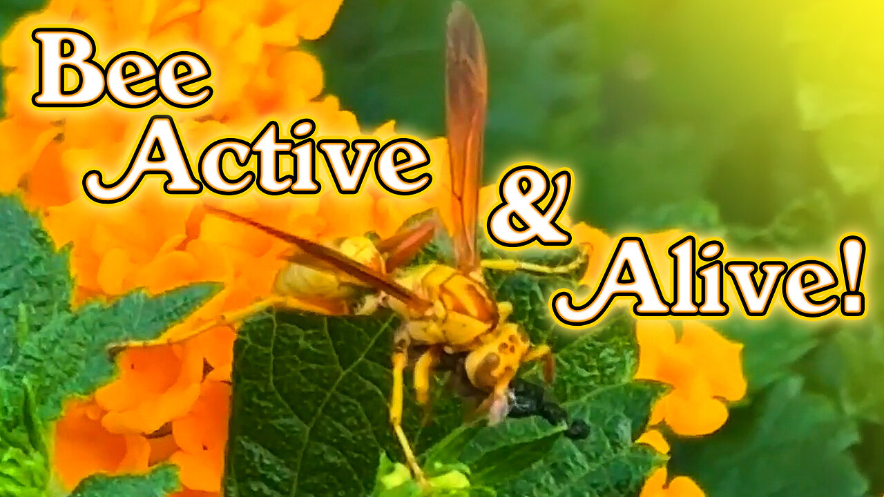 Bee Active & Alive, Flower your Mind & Bloom with Your Truth!