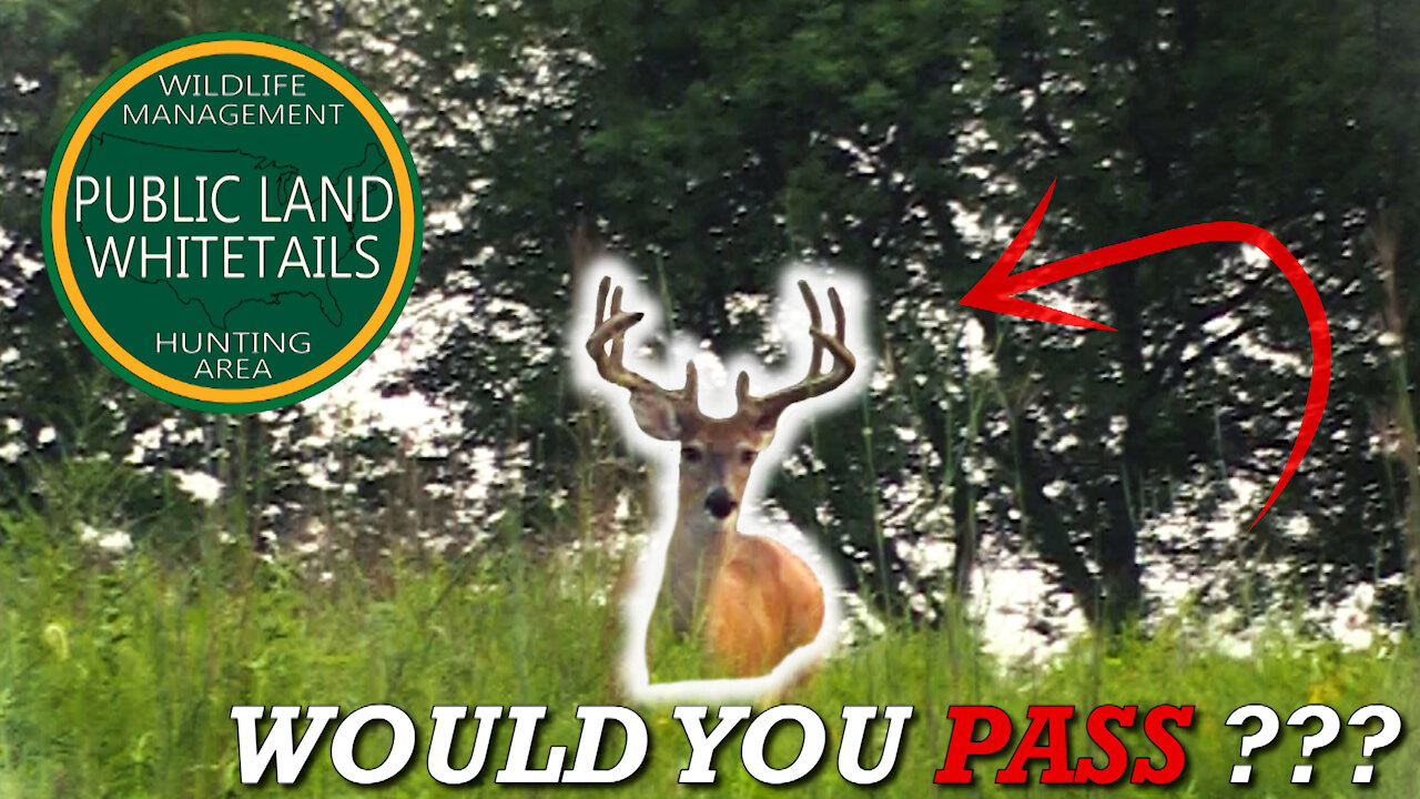 Big Public Land Deer | Finding New Bucks | Backcountry Bucks