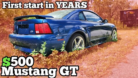 Finding an Abandoned Mustang GT on Google Maps and Buying it for $500