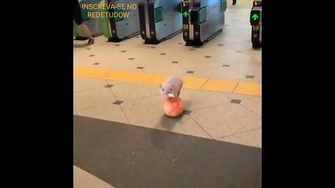 SHORT DAY: PEPA PIG NO METRÔ