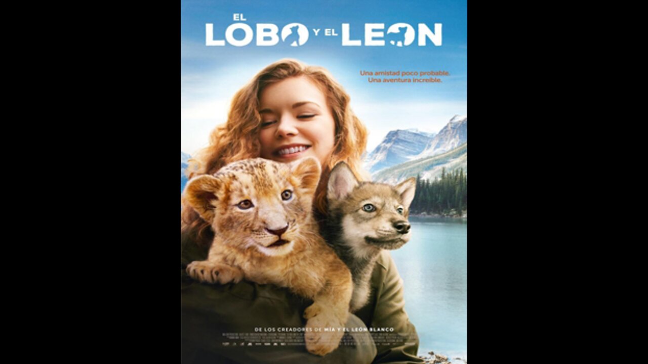 Film : The Wolf and The Lion