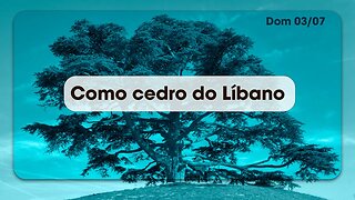 Como cedro do Líbano | Palavra de Vida e Fé