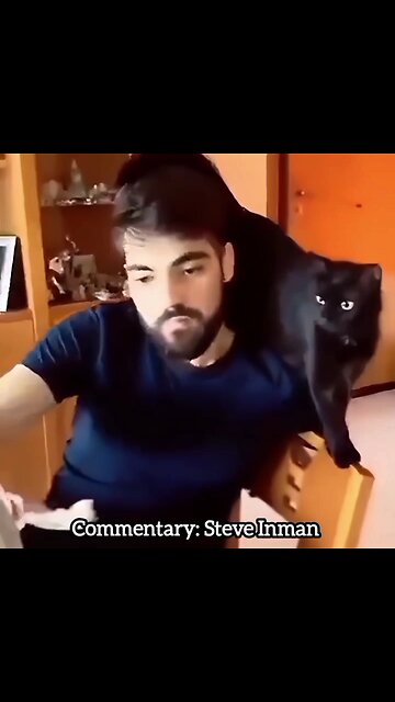 Cat is fed up with the owner's tricks