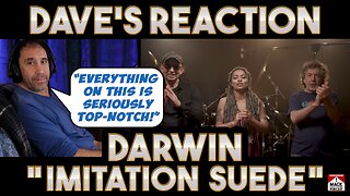 Dave's Reaction DarWin – Imitation Suede