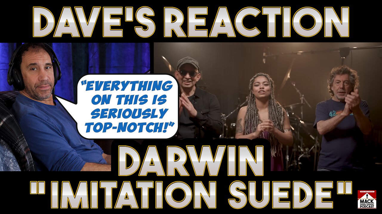 Dave's Reaction DarWin – Imitation Suede