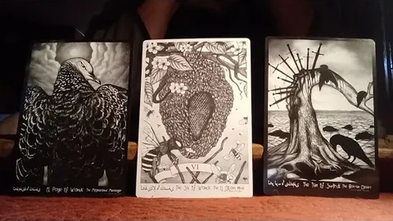 🔮 Daily Tarot Reading for Astrological Signs - Follow Your Passion
