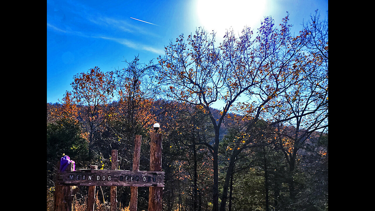 Mercy goes up The Mountain (Thanksgiving Day 2021)