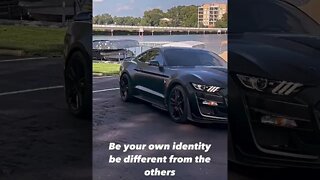 Identity #ford #mustangsociety #fordperformance #fordracing #shelby #fordmustang #shorts