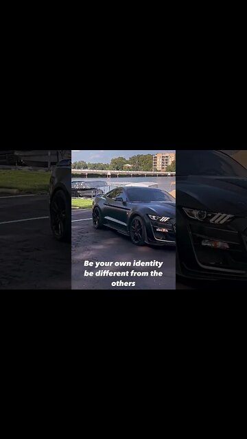 Identity #ford #mustangsociety #fordperformance #fordracing #shelby #fordmustang #shorts