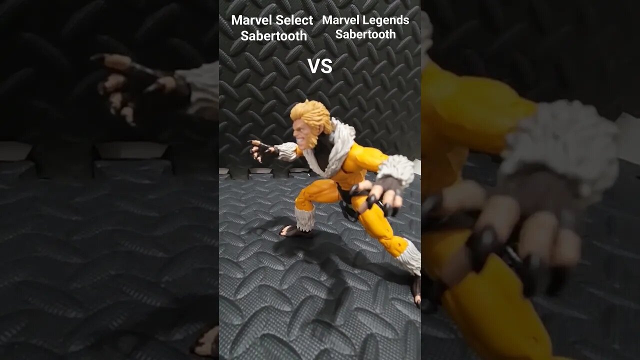 Marvel Select Sabertooth VS Marvel Legends Sabertooth #xmen #sabertooth #marvelselect #marvellegends