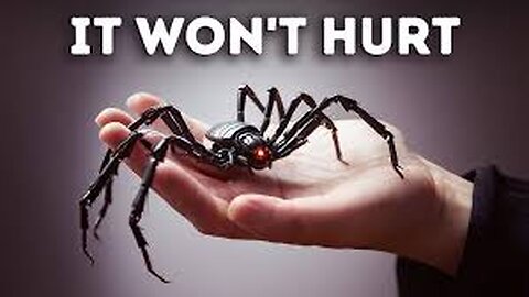 spider rebot experiment