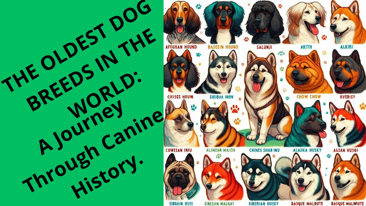 The 10 Oldest Dog Breeds in the World: A Journey Through Canine History.