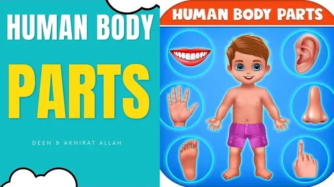 body parts for kids kids fun