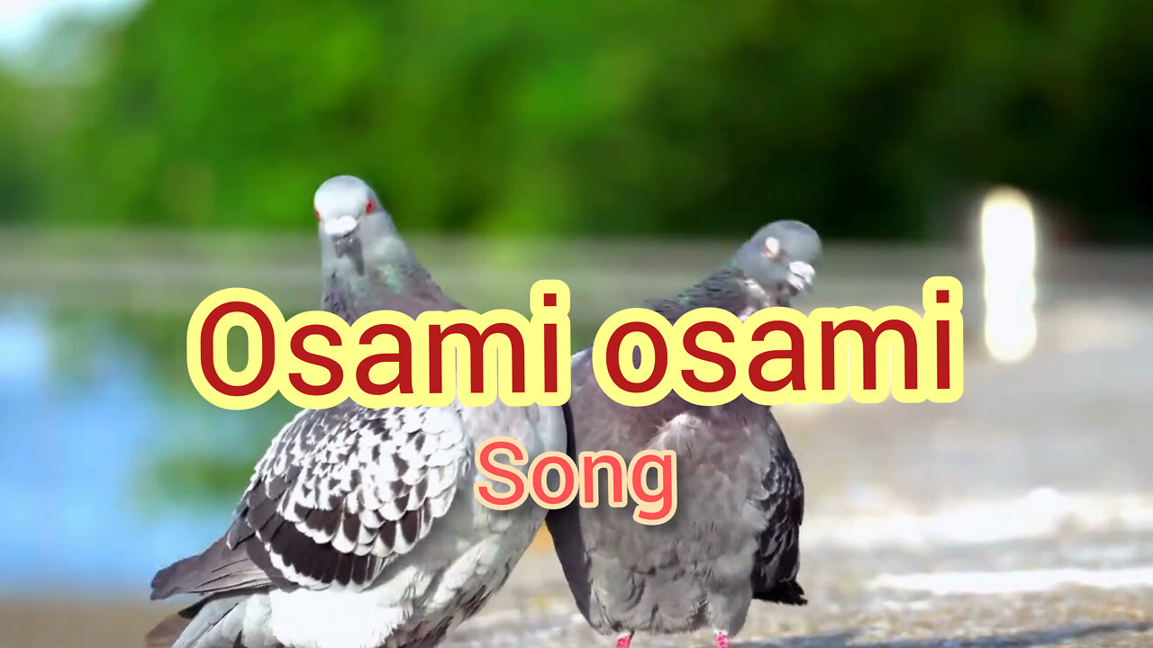 Pushpa osami osami song