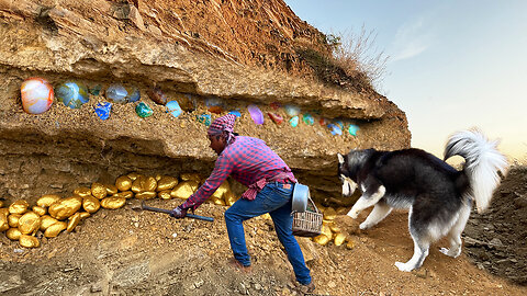 Man & Smart DOG Finds Diamond & Gemstone Mine Under Stone , More Gemstones Discovered