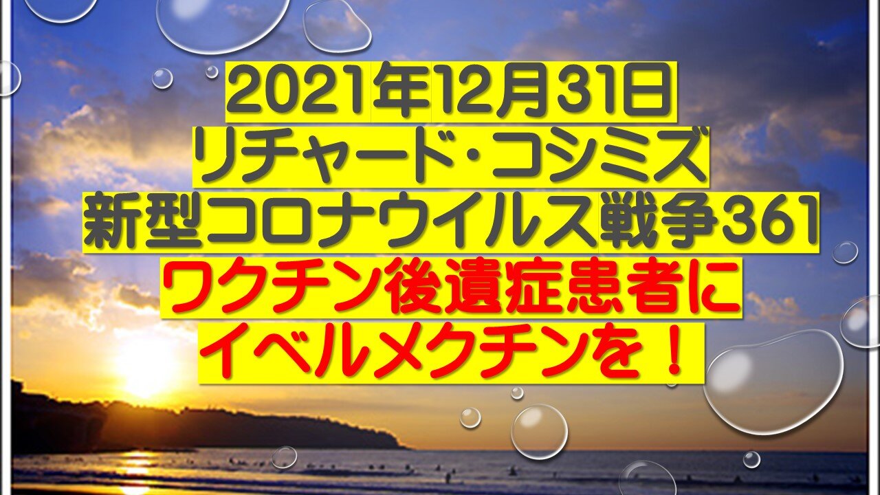 2021年１２月３１日 リチャード・コシミズ 新型コロナウイルス戦争３６１