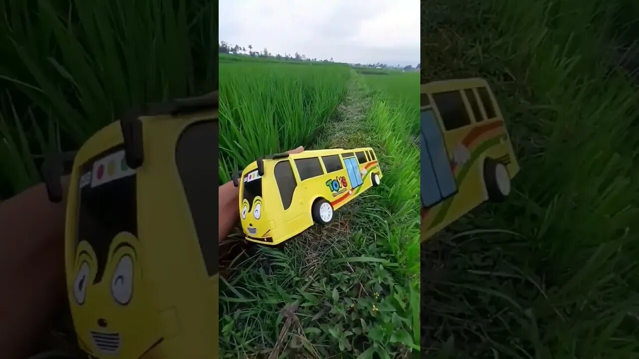 Menemukan Mainan Bus Lani Besar #tayo #bustayo #menemukanbuslani #buslani #mainanbustayo #tayobesar