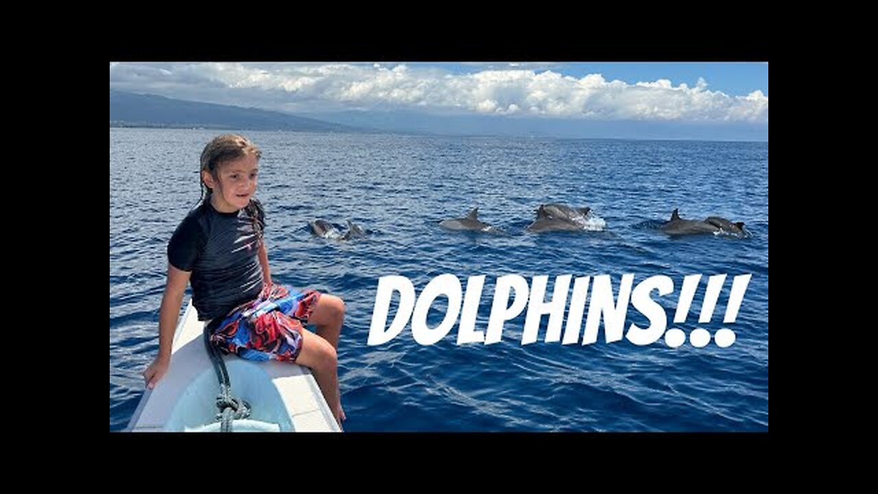 Swimming with dolphins in LOVINA, BALI!