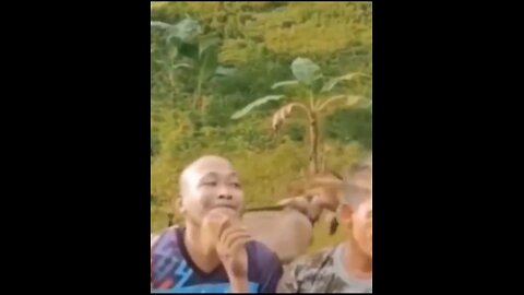 funny video 😂