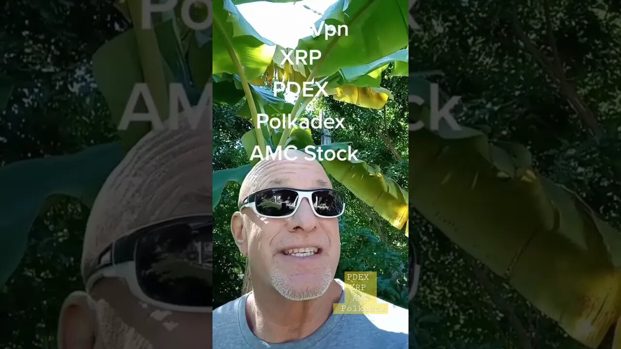 #xrp #xrpnews #pdex #polkadex #amcstock #crypto #cryptocurrency #cryptocurrencynews