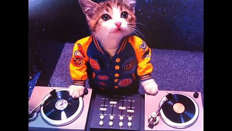 Mr. Biscuits - Freak Machine