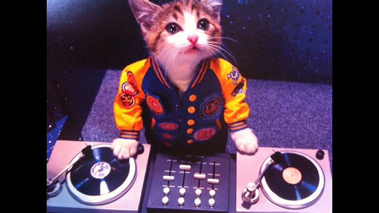 Mr. Biscuits - Freak Machine