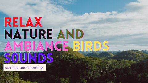 Relaxation, Nature and Bird Sounds