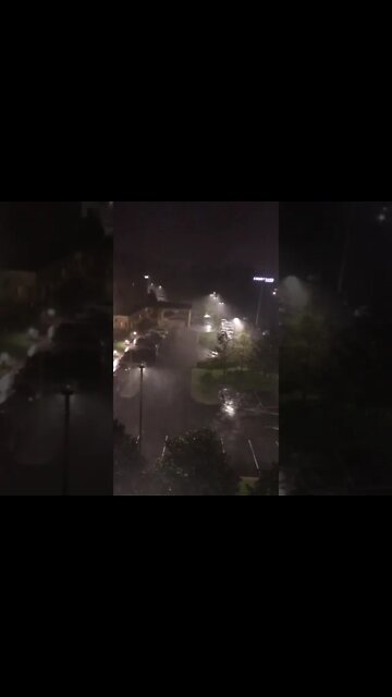 Come to Louisiana they said. It’ll be fun they said.