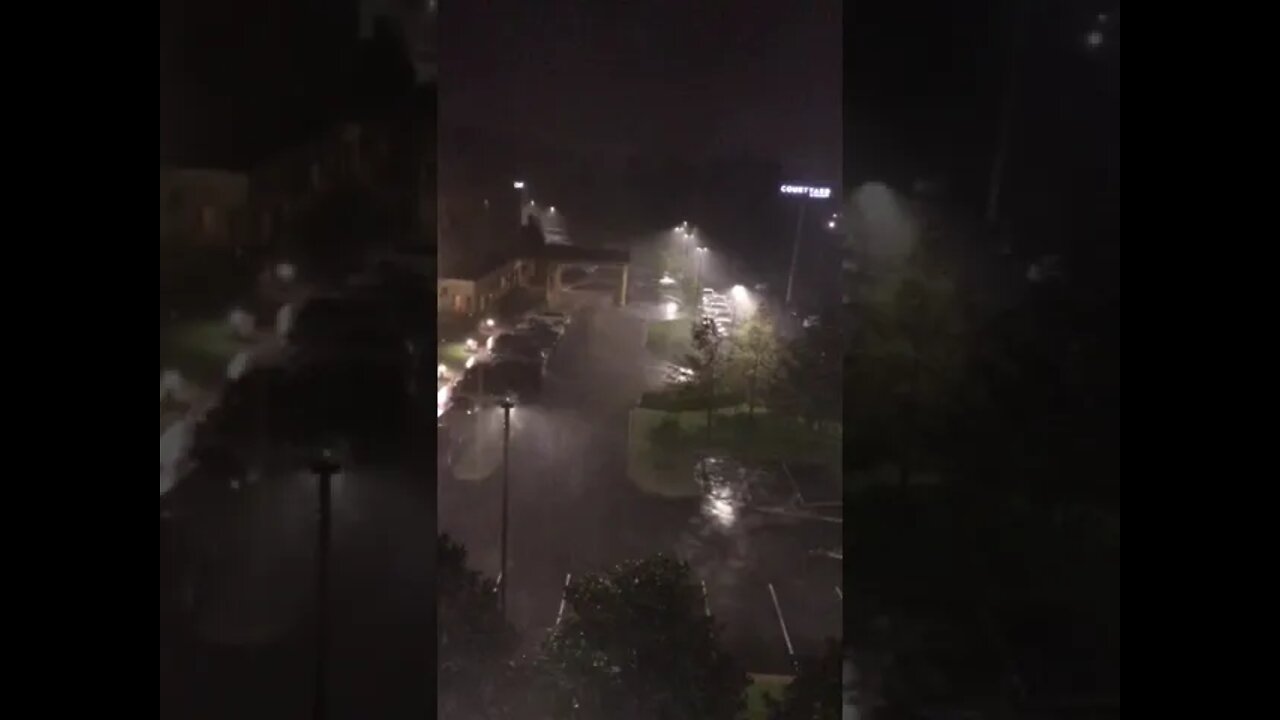 Come to Louisiana they said. It’ll be fun they said.