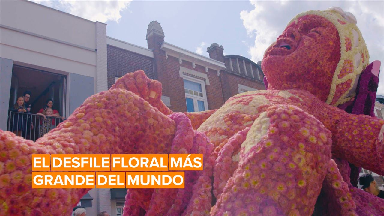 El desfile floral de Zundvert