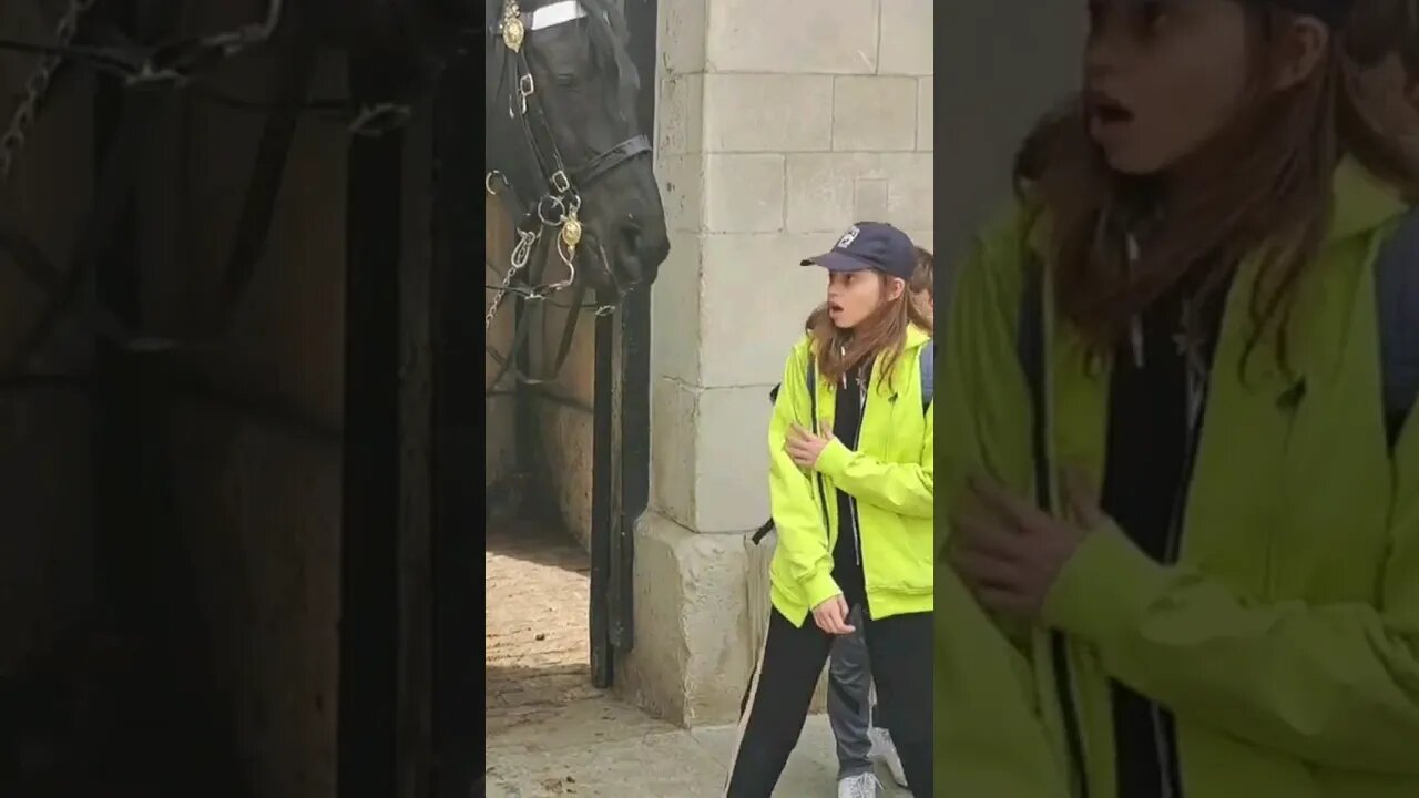 the shock of the bite #horseguardsparade