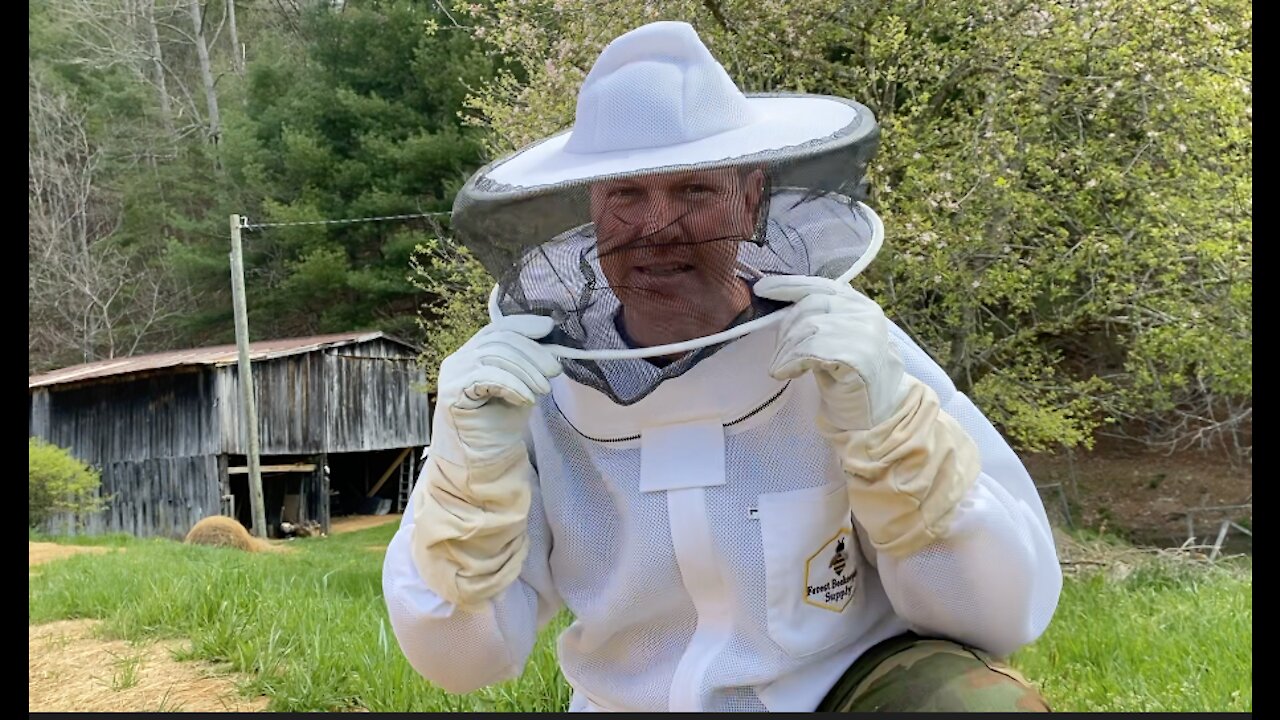 Adding Bees to the Homestead & When did Prepping Become a Bad Thing