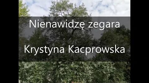 Nienawidzę zegara - Krystyna Kacprowska